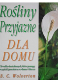Rośliny przyjazne dla domu