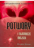 Potwory i tajemnicze miejsca