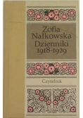 Dzienniki 1918 1929