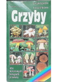 Grzyby
