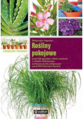 Rośliny pokojowe Podręczny poradnik