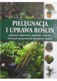 Pielęgnacja i uprawa roślin