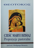 Cześć Maryi dzisiaj propozycje pastoralne