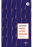 Przez ucho igielne