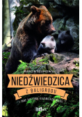 Niedźwiedzica z Baligrodu i inne historie K. Nóżki