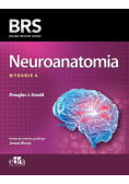 Neuroanatomia BRS