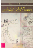 Podstawy anatomii człowieka