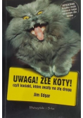 Uwaga Złe koty czyli kociaki które zeszły na złą drogę