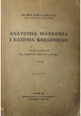 Anatomia mózgowia i rdzenia kręgowego 1947 r.