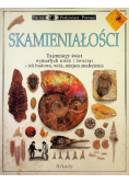 Skamieniałości Patrzę podziwiam poznaję