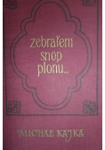 Zebrałem snop plonu