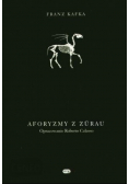 Aforyzmy z Zurau