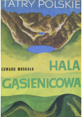 Tatry polskie Hala gąsienicowa