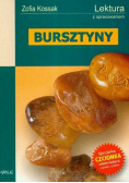 Kossak Zofia - Bursztyny