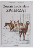 Zostań tropicielem zwierząt