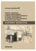 Papowo biskupie