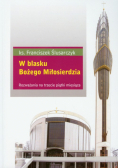Ślusarczyk Franciszek - W blasku Bożego Miłosierdzia