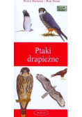 Ptaki drapieżne Przewodnik