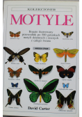 Motyle