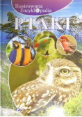 Ilustrowana encyklopedia Ptaki