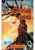 Strzeż się sokoła
