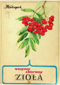 Wszyscy zbieramy zioła