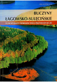 Buczyny łagowsko sulęcińskie