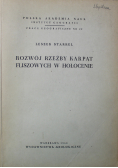 Rozwój rzeźby Karpat fliszowych w holocenie