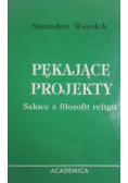 Pękające projekty Szkice z filozofii religii