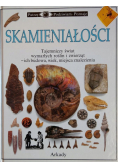 Skamieniałości