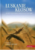 Łuskanie kłosów