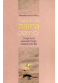 Paradoks ziarna pszenicy