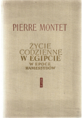 Życie Codzienne w Egipcie w Epoce Ramwssydów