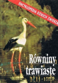 Równiny trawiaste