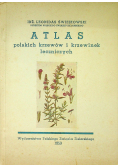 Atlas polskich krzewów i krzewinek leczniczych 1950 r.