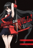 Akame ga kill 1