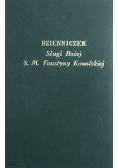 Dzienniczek Sługi Bożej  Faustyny Kowalskiej