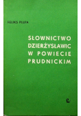 Słownictwo Dzierżysławic w powiecie prudnickim