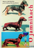 O jamnikach
