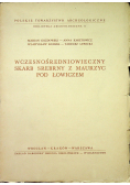 Wczesnośredniowieczny skarb srebrny z Maurzyc pod Łowiczem