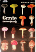 Grzyby środkowej Europy