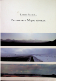 Palimpsest Międzymorza