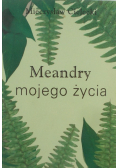 Meandry mojego życia
