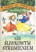 Nad śliwkowym strumieniem