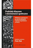 Podziały klasowe i nierówności społeczne