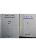 Wielki słownik polsko francuski 2 Tomy