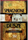 Spragnione dusze Zjawy z czyśćca