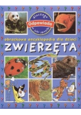 Zwierzęta Obrazkowa encyklopedia dla dzieci