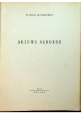 Drzewa ozdobne