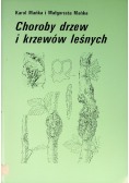 Choroby drzew i krzewów leśnych